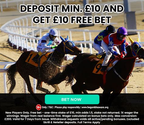 all virtual horse racing results|Horse Racing Results for Today .